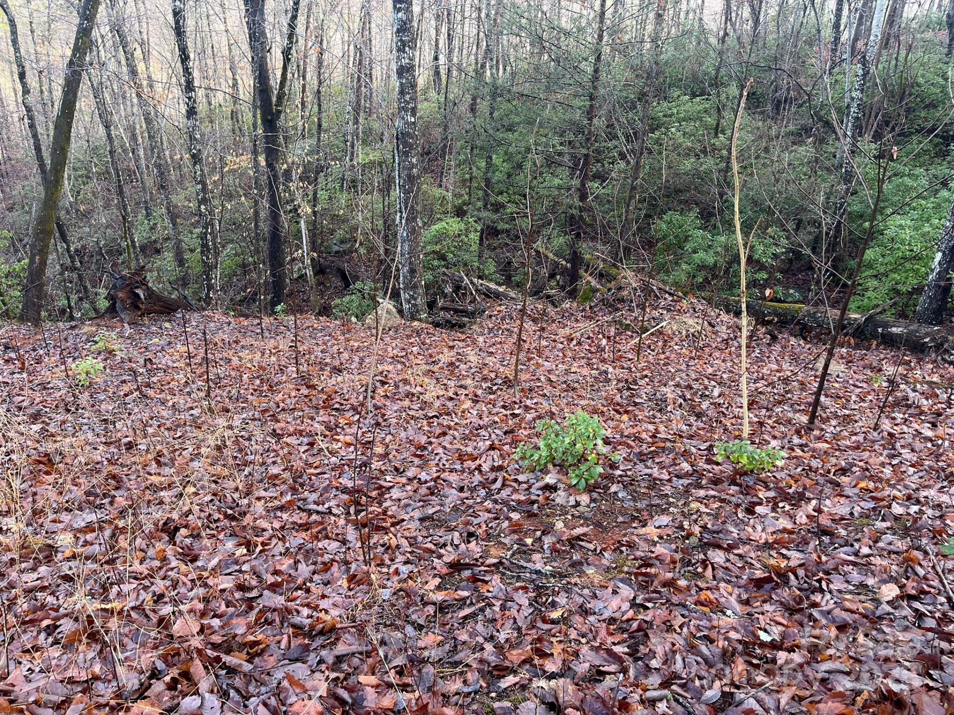 00 Ridgecrest Drive - Photo 8