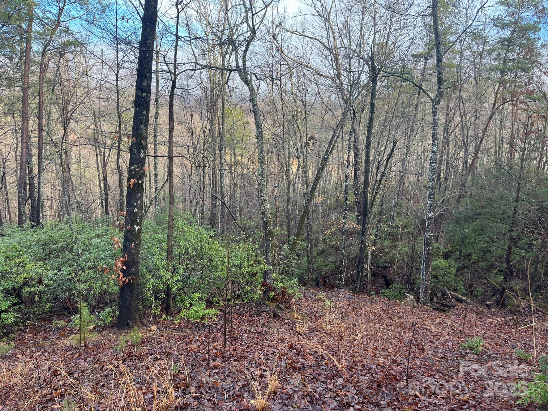 00 Ridgecrest Drive - Photo 9