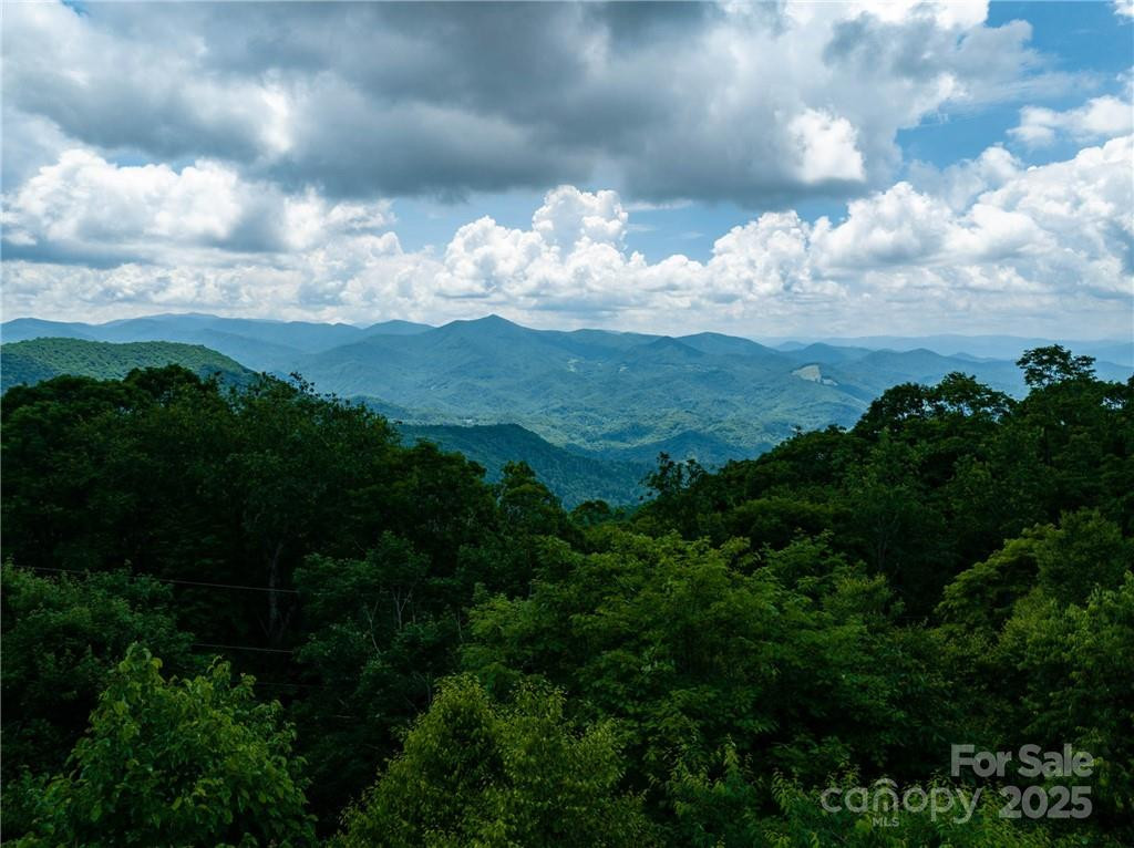 167 Bold Springs Road - Photo 4