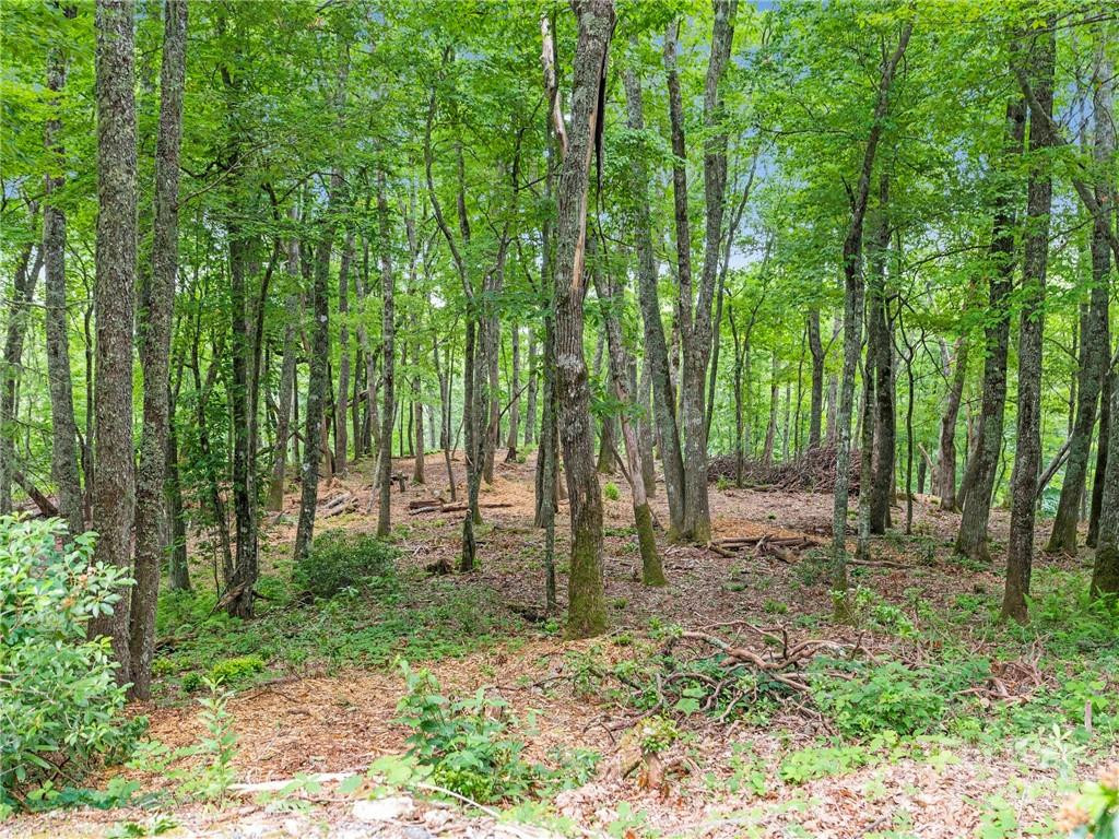 167 Bold Springs Road - Photo 34