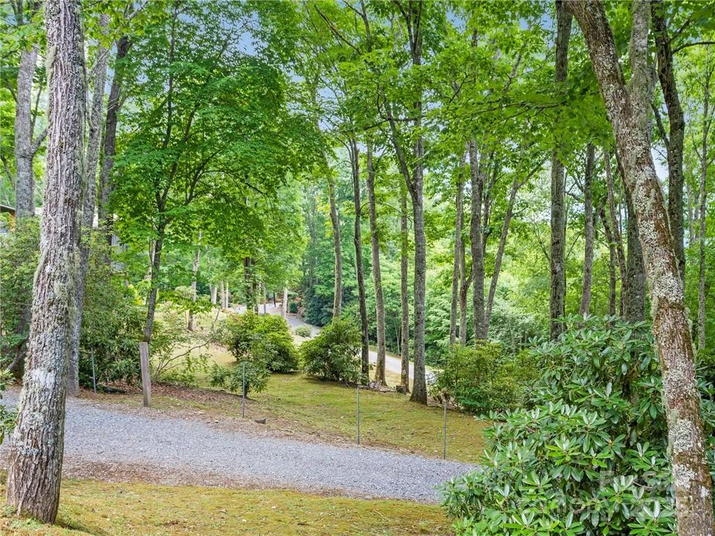 167 Bold Springs Road - Photo 35