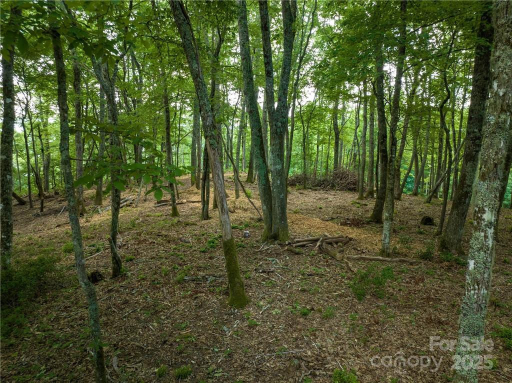 167 Bold Springs Road - Photo 37