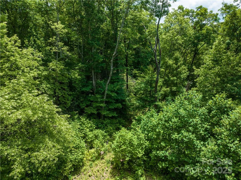 3168 Parris Branch Road #16 D,E,F - Photo 6