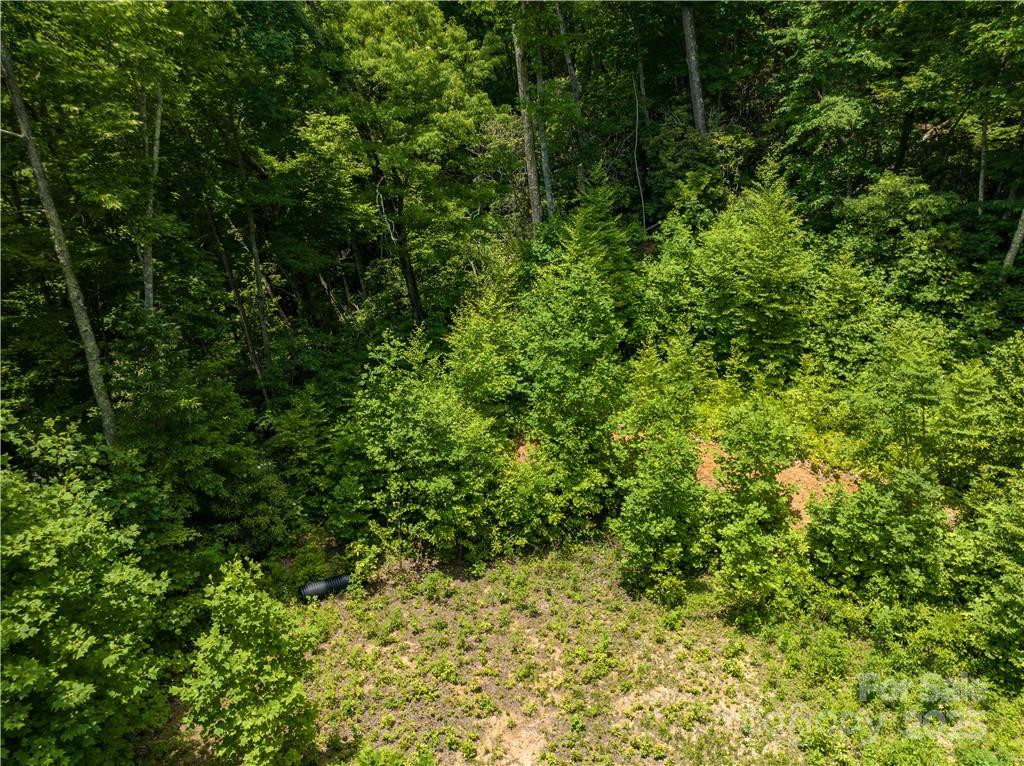 3168 Parris Branch Road #16 D,E,F - Photo 7