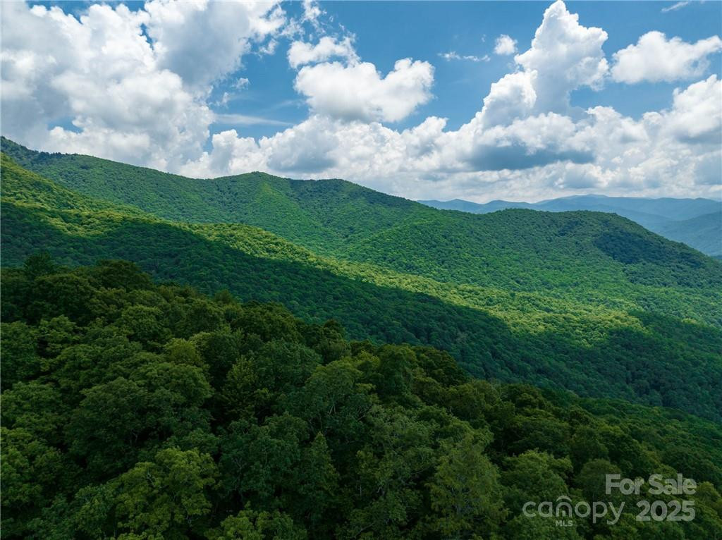 99999 Parris Branch Road #24a - Photo 11