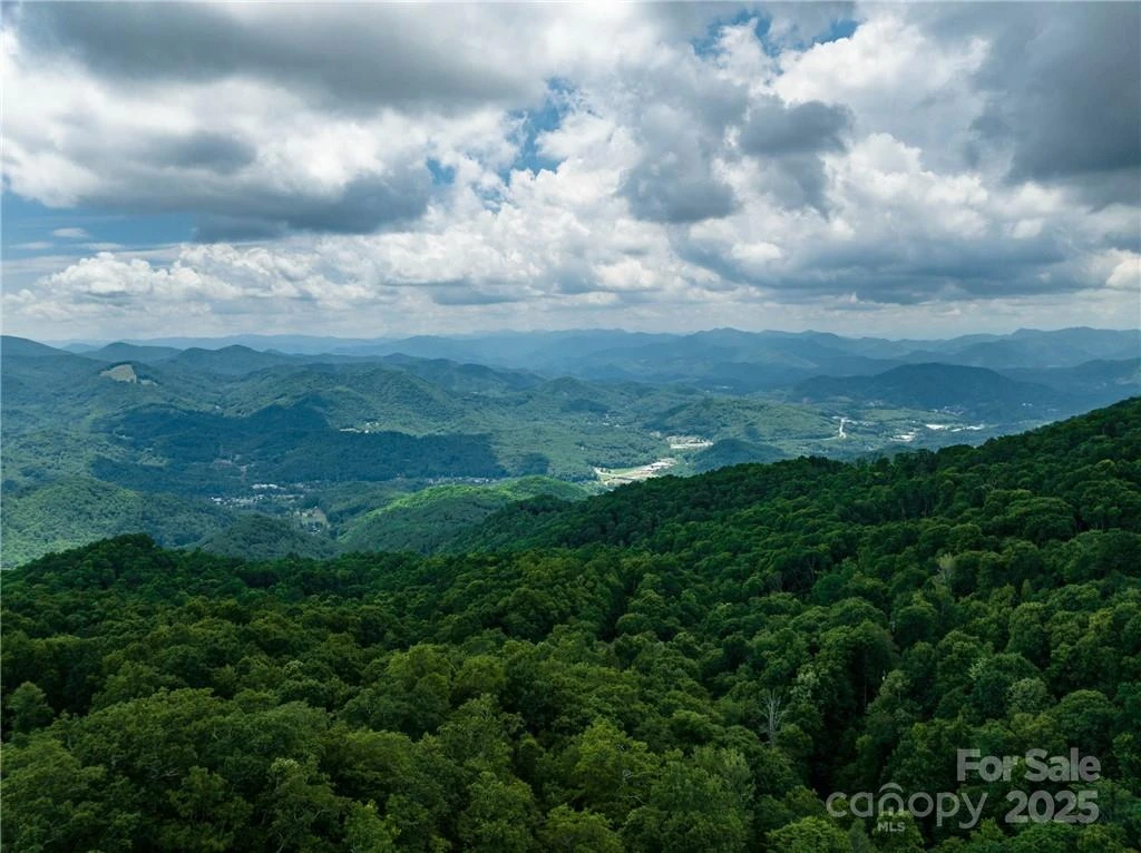 99999 Parris Branch Road #24a - Photo 5