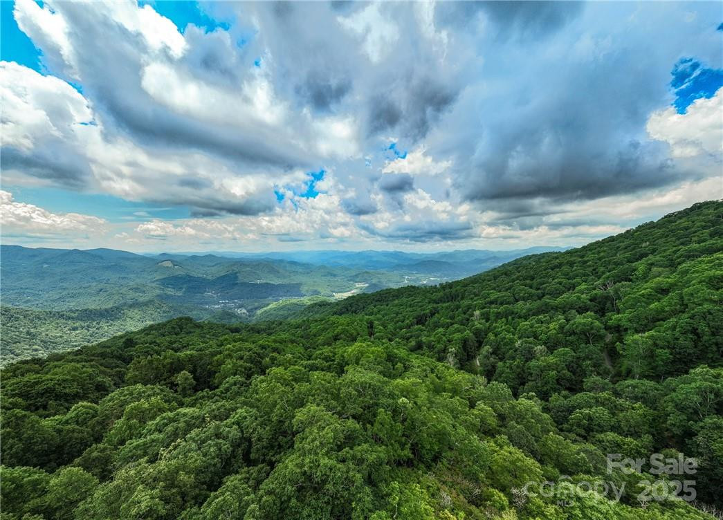 99999 Parris Branch Road #24a - Photo 6