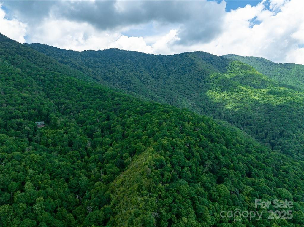 99999 Parris Branch Road #24a - Photo 9