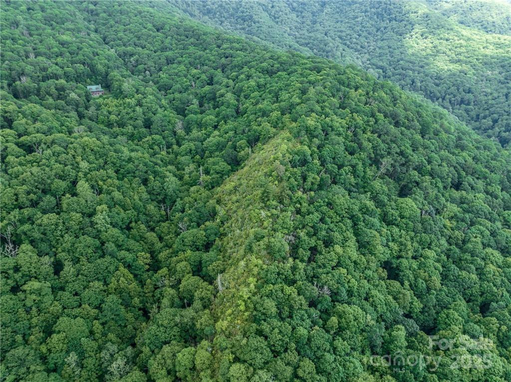 99999 Parris Branch Road #24a - Photo 10