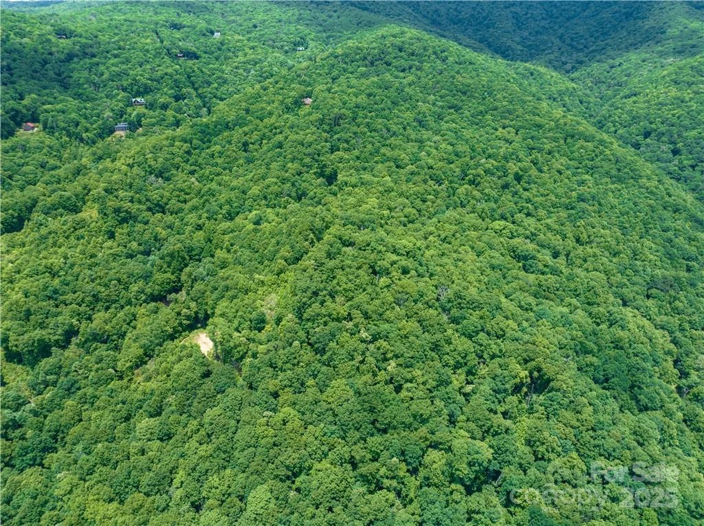 99999 Parris Branch Road #16 A,B,C - Photo 6