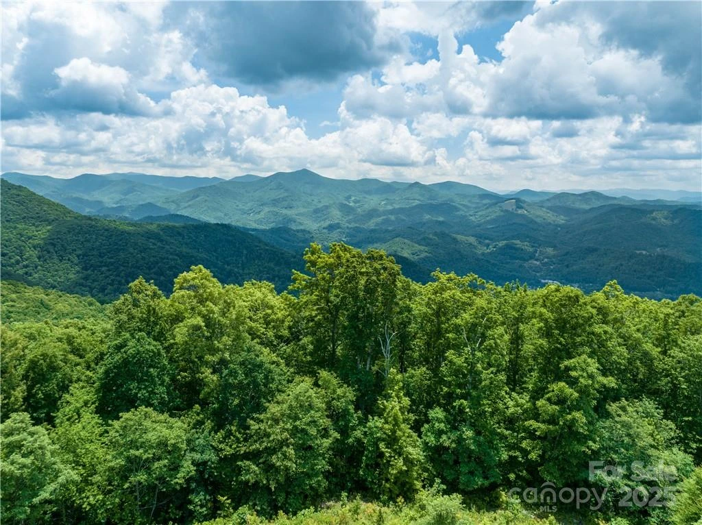 3867 Parris Branch Road #Tract B - Photo 11