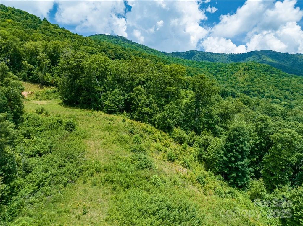 3867 Parris Branch Road #Tract B - Photo 12
