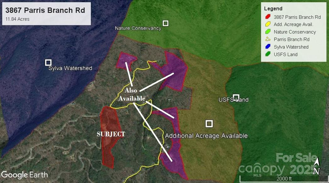 3867 Parris Branch Road #Tract B - Photo 3