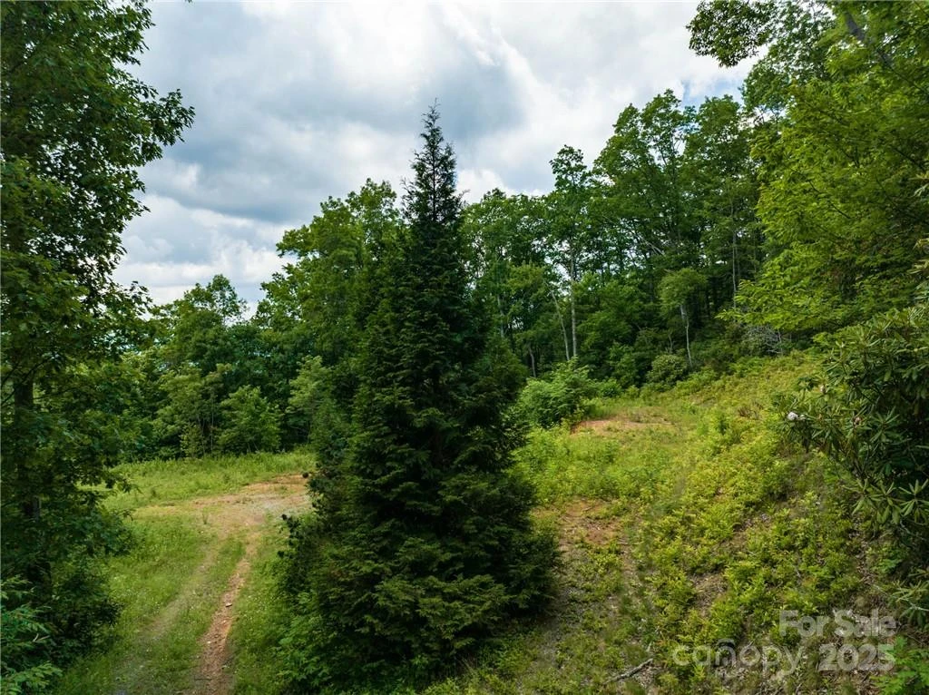 3867 Parris Branch Road #Tract B - Photo 4
