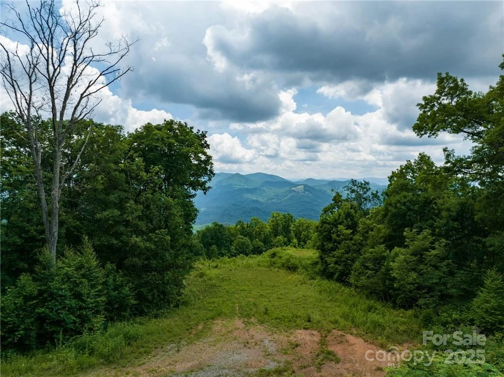 3867 Parris Branch Road #Tract B - Photo 5