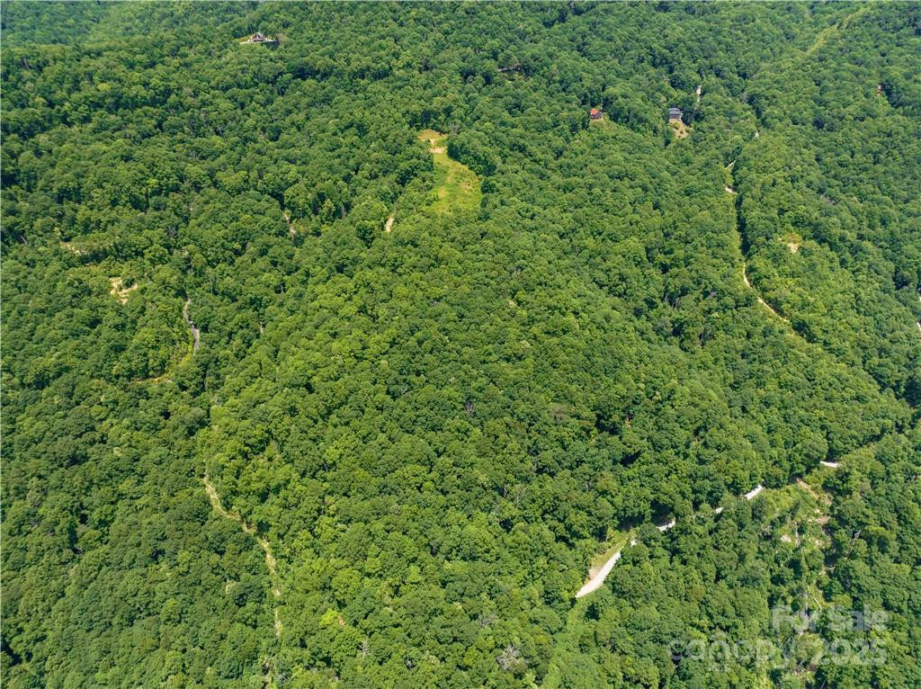 3867 Parris Branch Road #Tract B - Photo 7