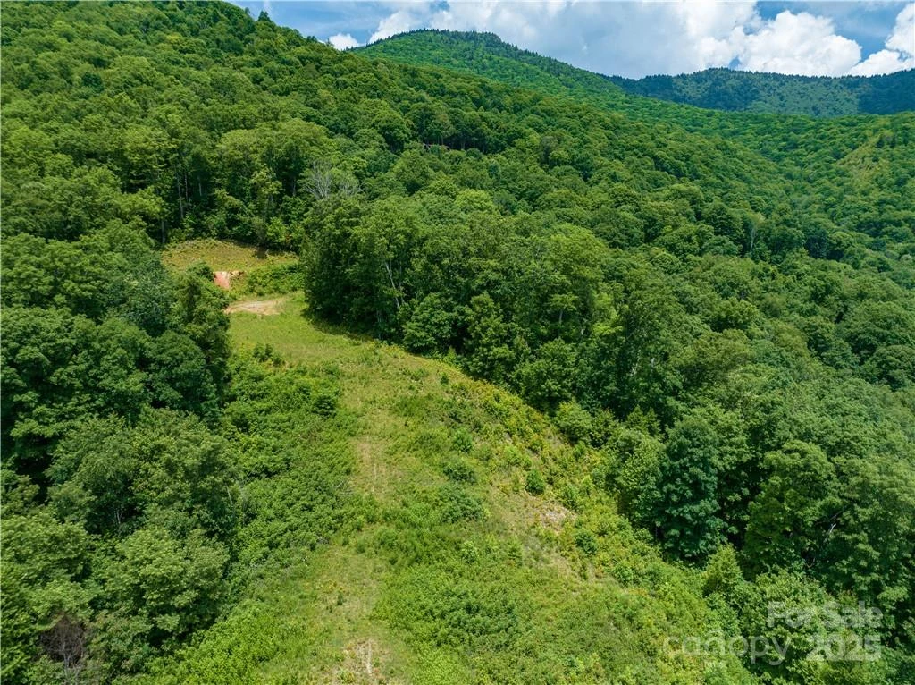 3867 Parris Branch Road #Tract B - Photo 9