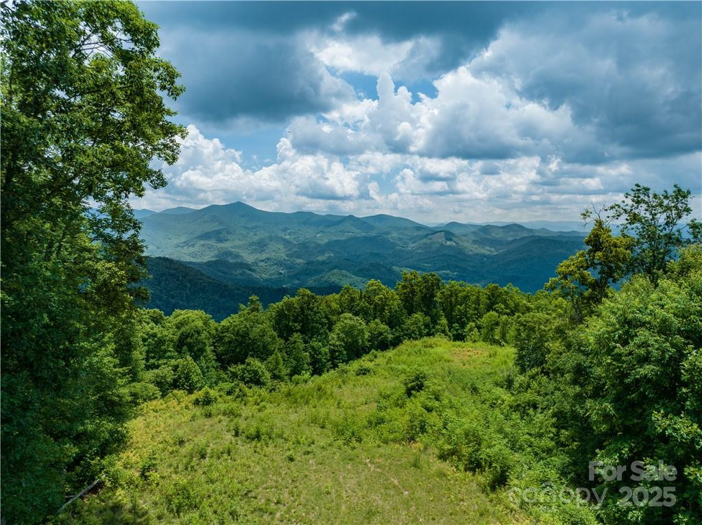 3867 Parris Branch Road #Tract B - Photo 10