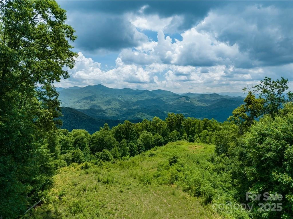 3867 Parris Branch Road #Tract B - Photo 10