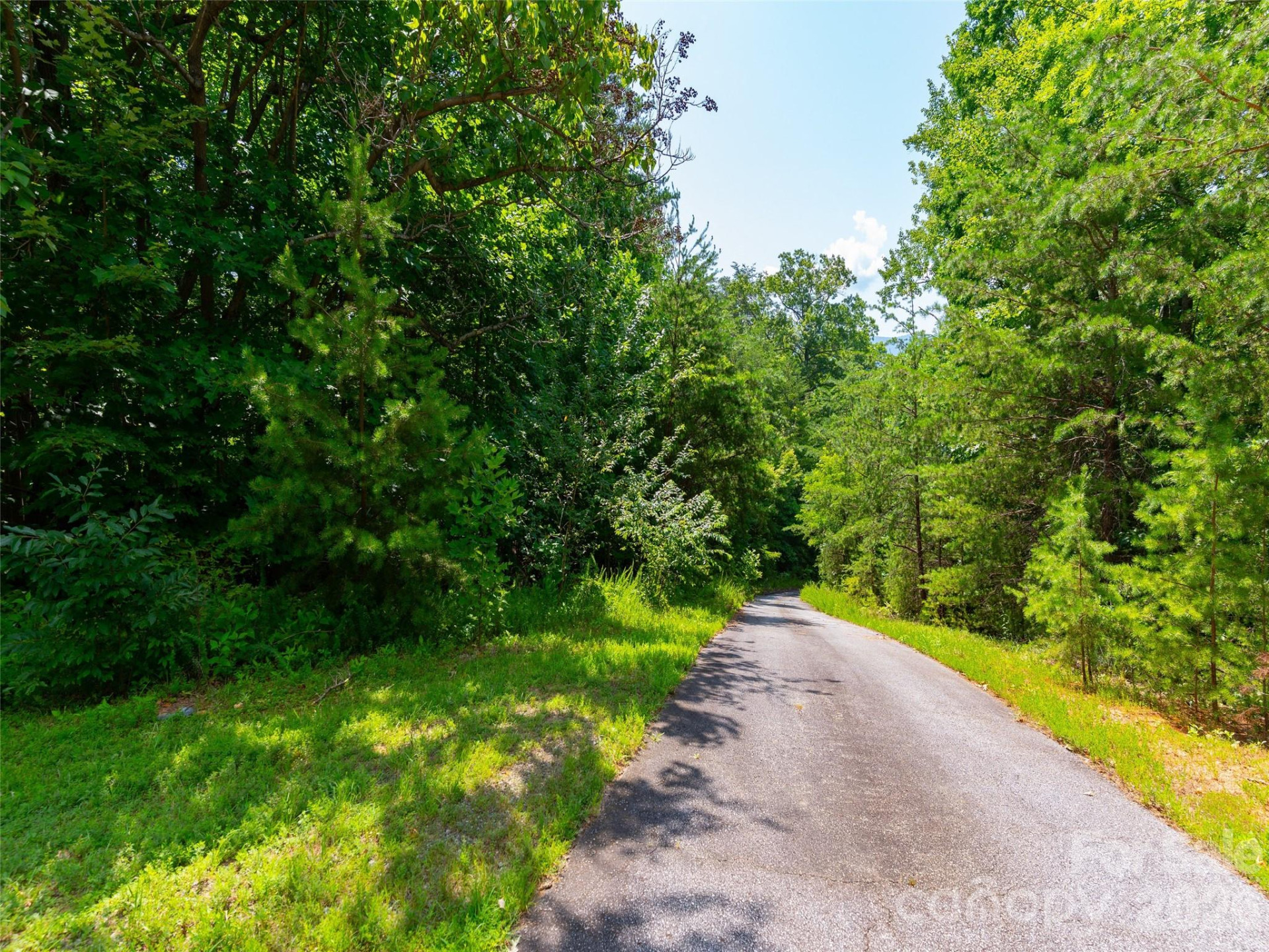 142 Elkton Court - Photo 11