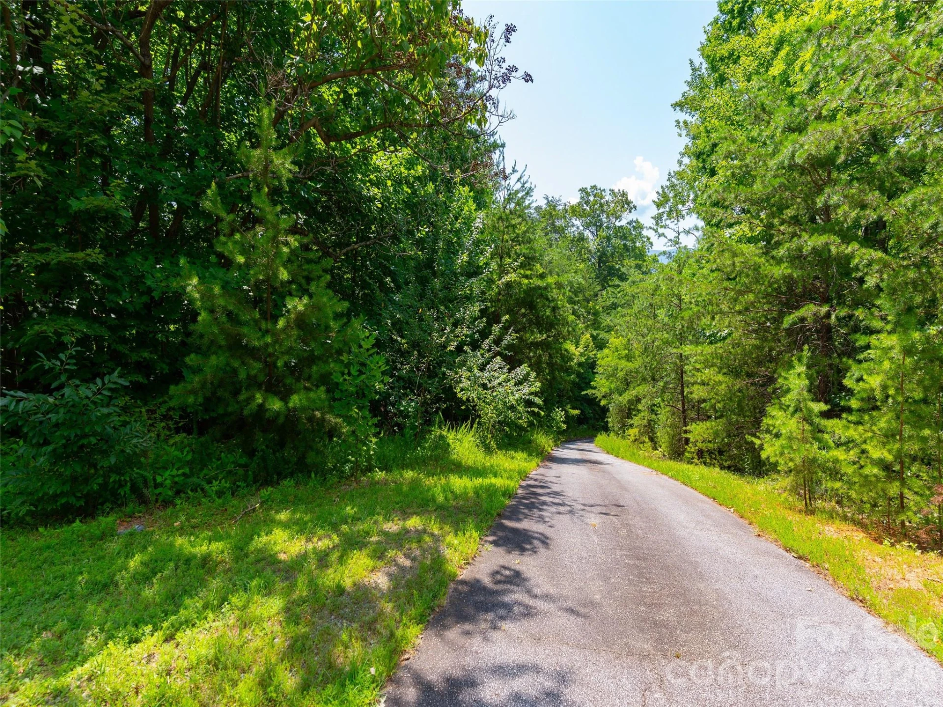 142 Elkton Court - Photo 11