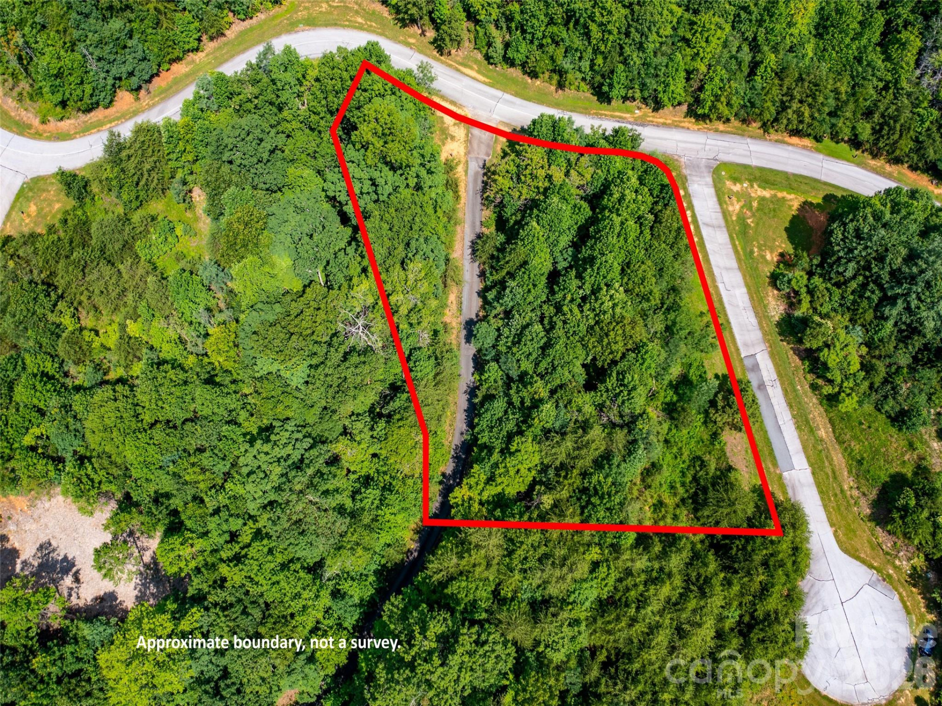 142 Elkton Court - Photo 12