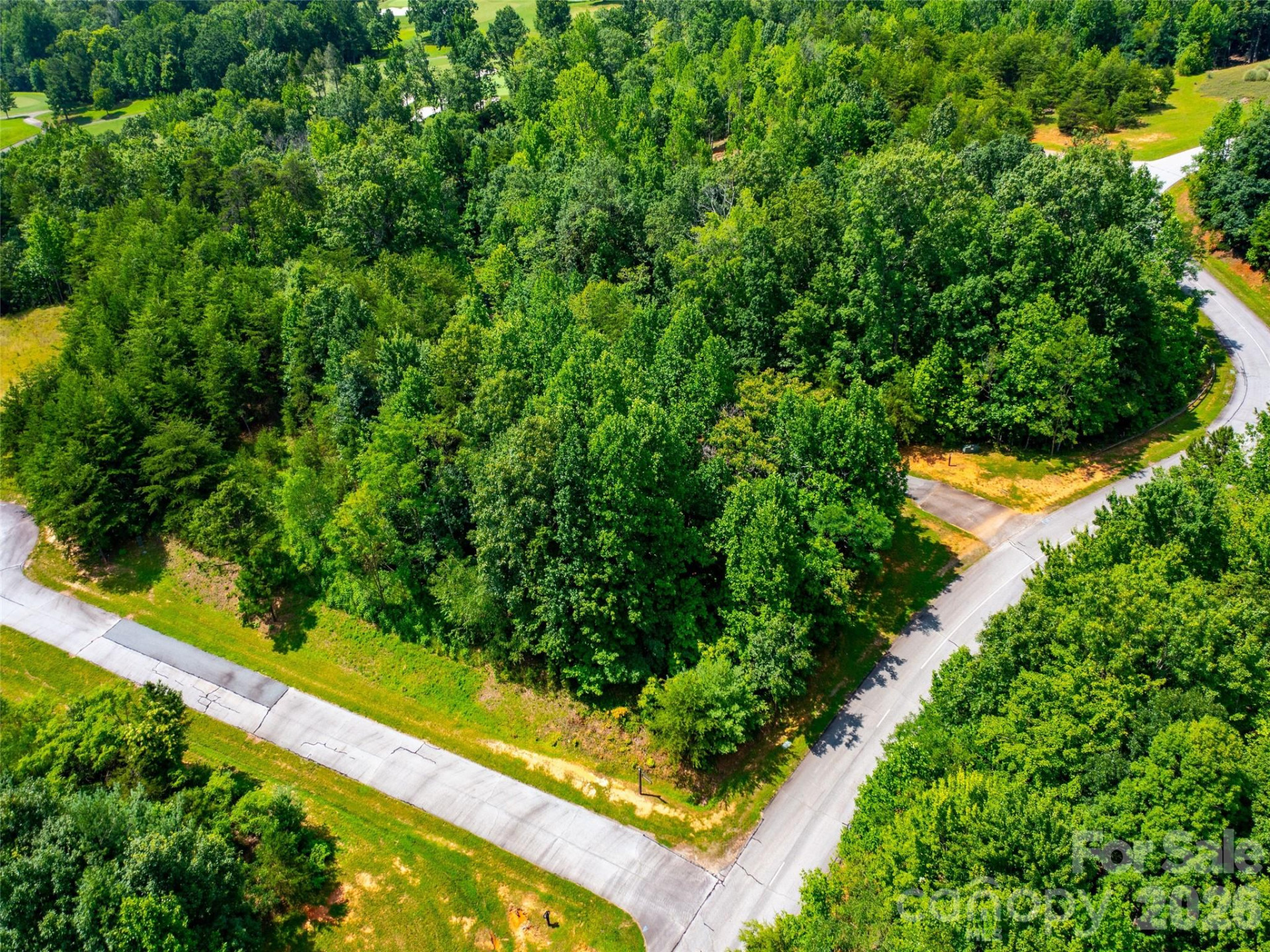 142 Elkton Court - Photo 17