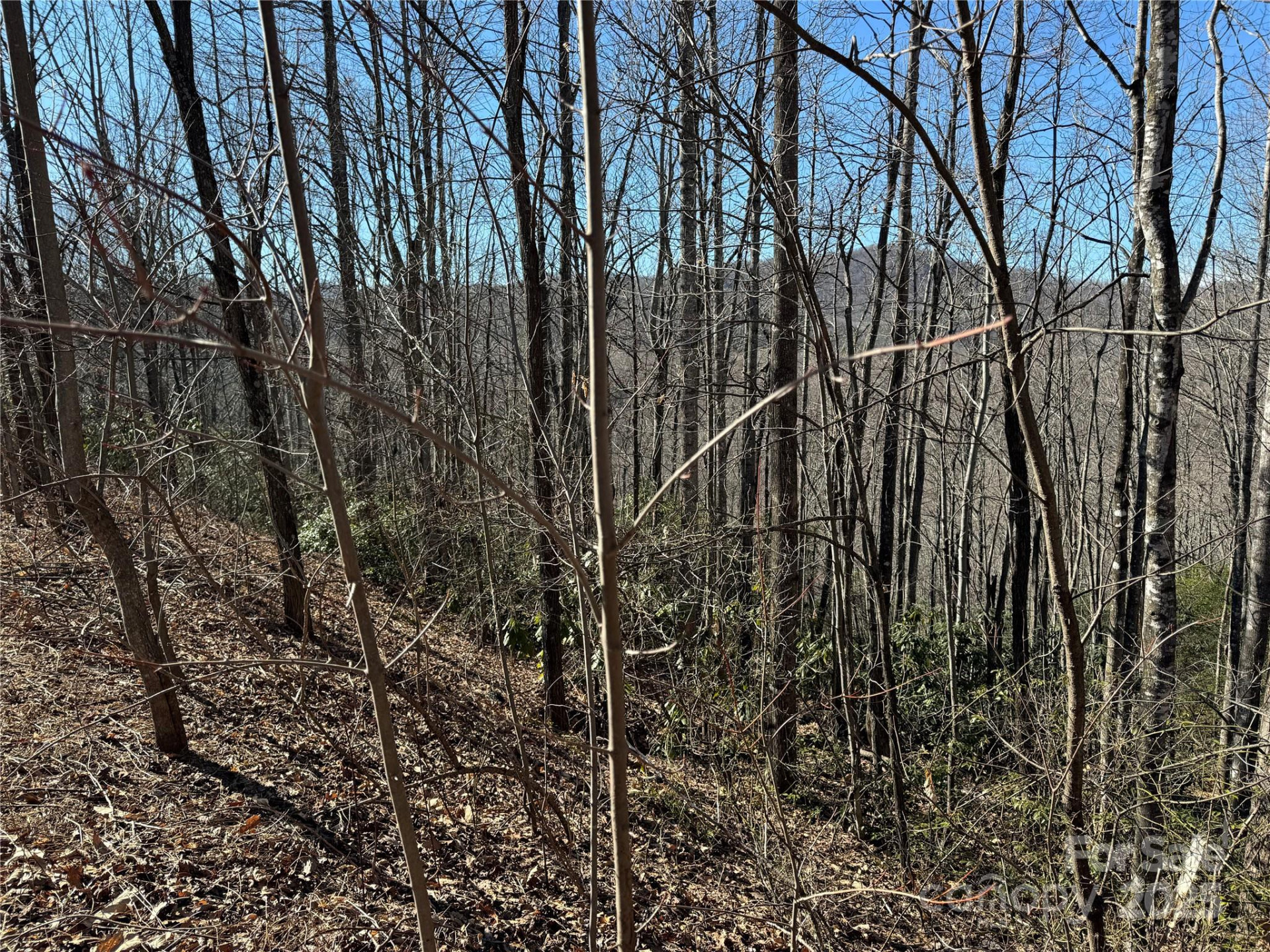 239 Fuji Falls Trail #138 - Photo 4