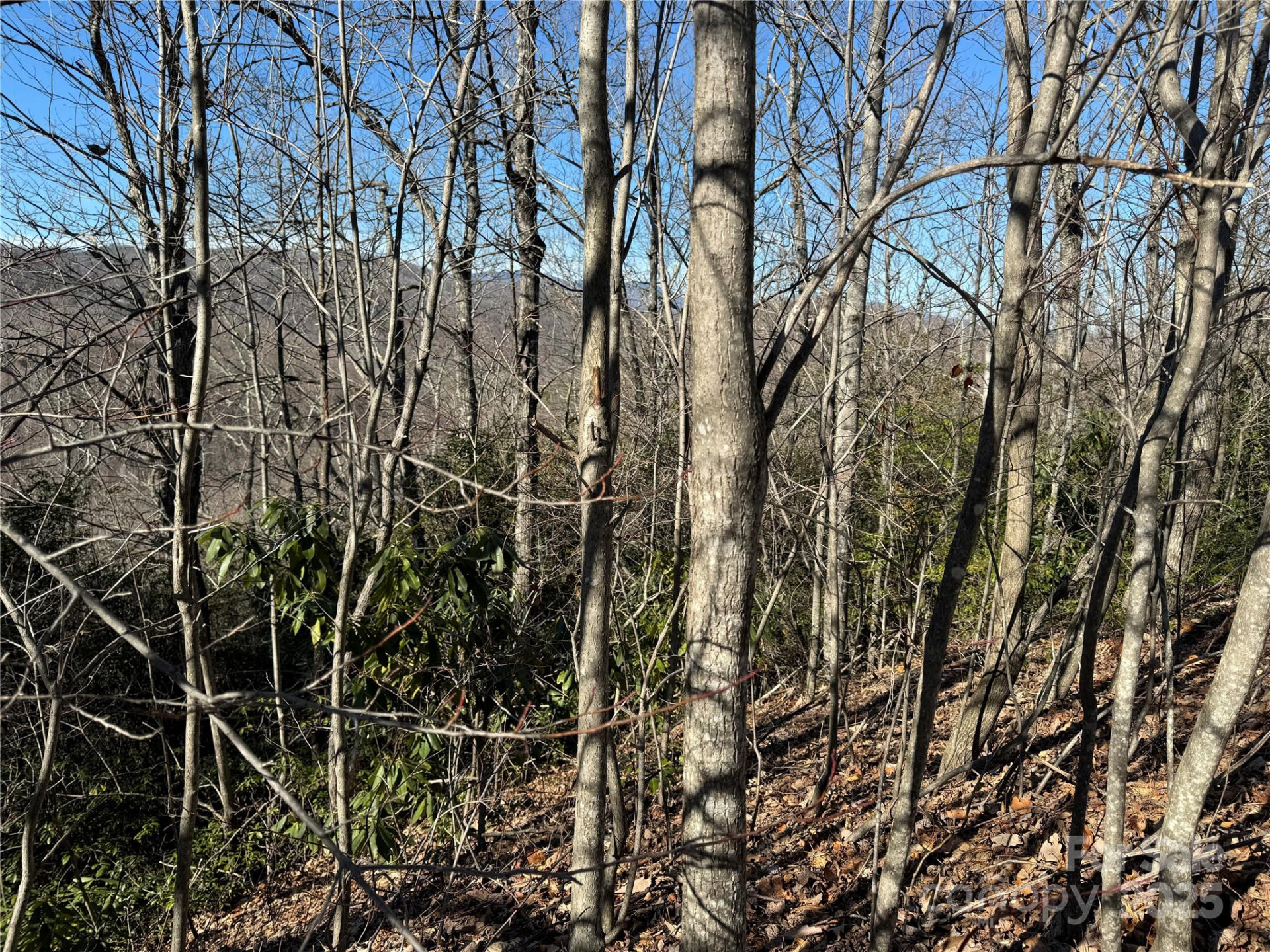 239 Fuji Falls Trail #138 - Photo 5