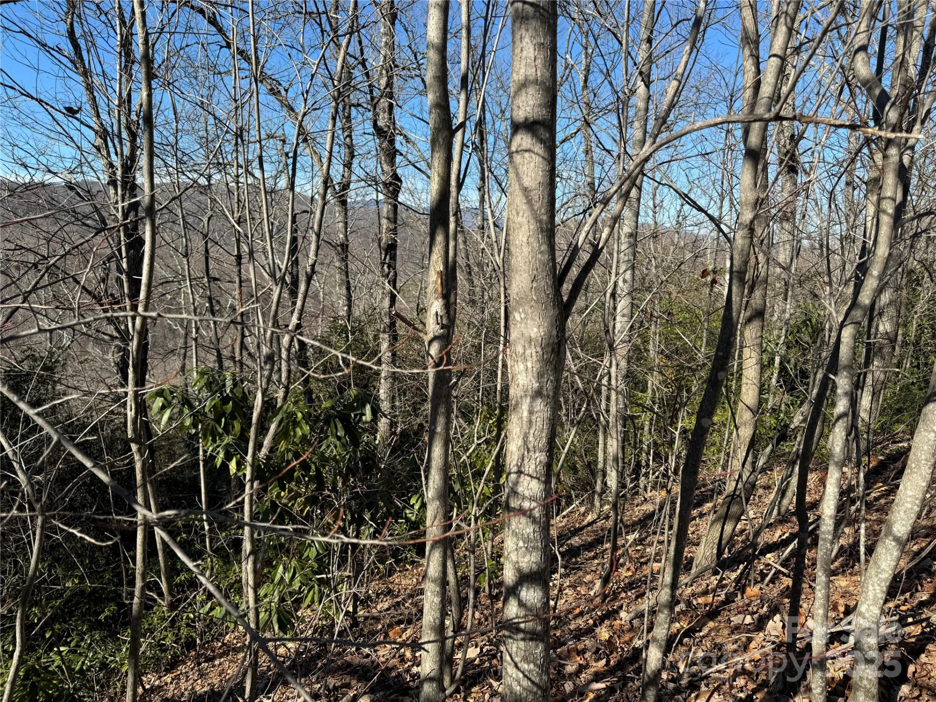 239 Fuji Falls Trail #138 - Photo 5