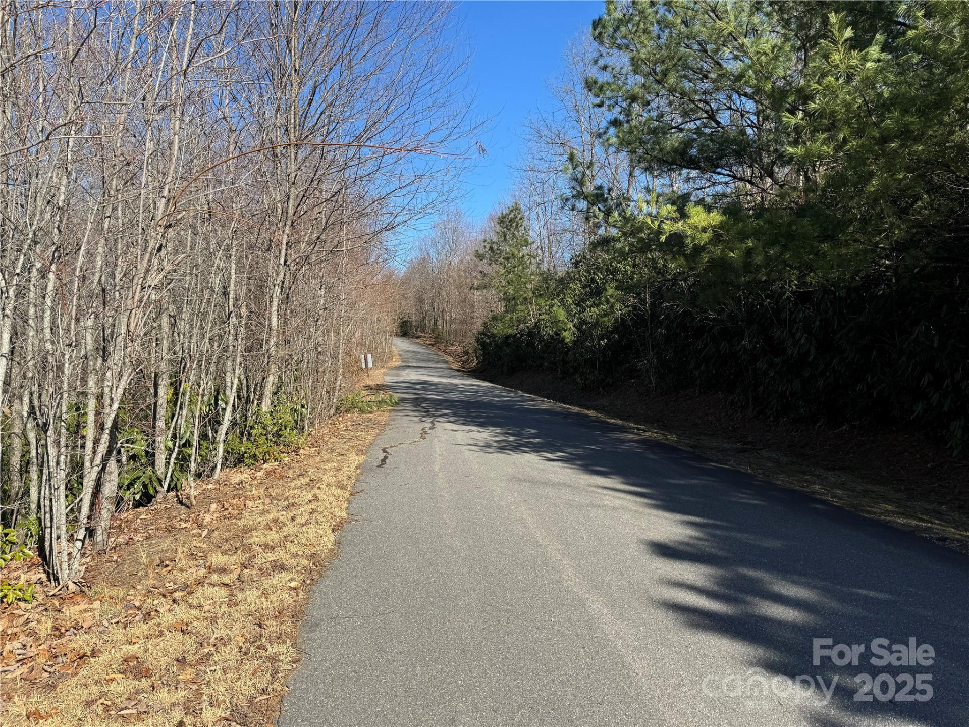 239 Fuji Falls Trail #138 - Photo 7