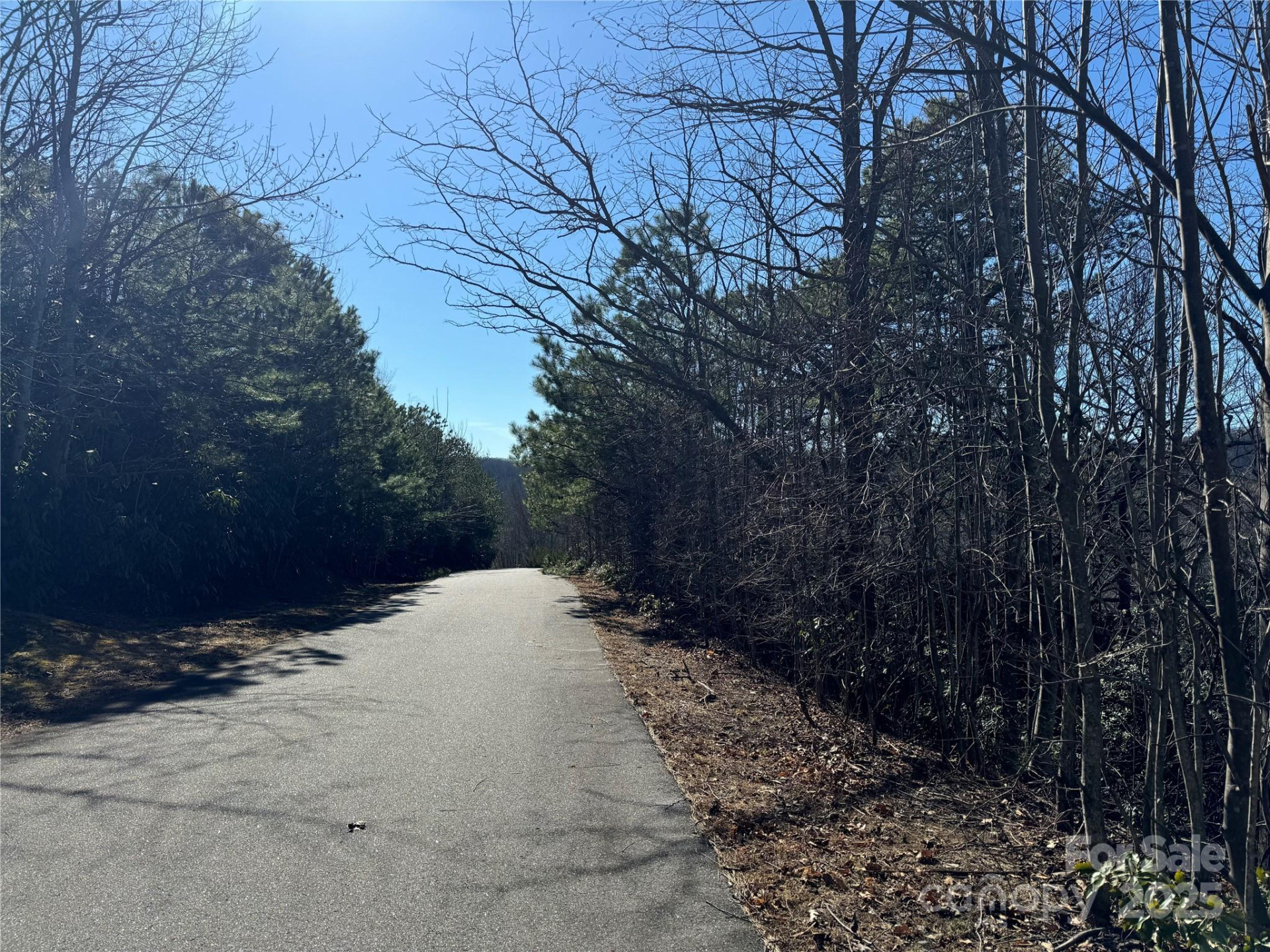 239 Fuji Falls Trail #138 - Photo 8