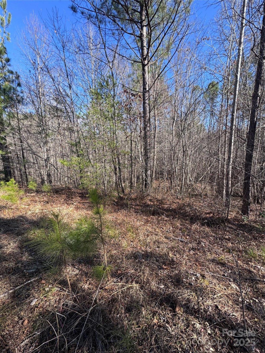 0 Black Rock Drive #30 - Photo 2