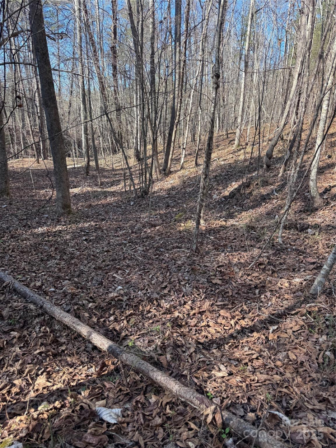 0 Black Rock Drive #30 - Photo 12