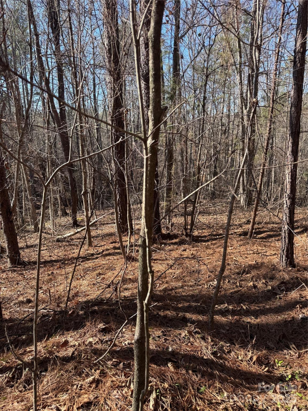 0 Black Rock Drive #30 - Photo 13