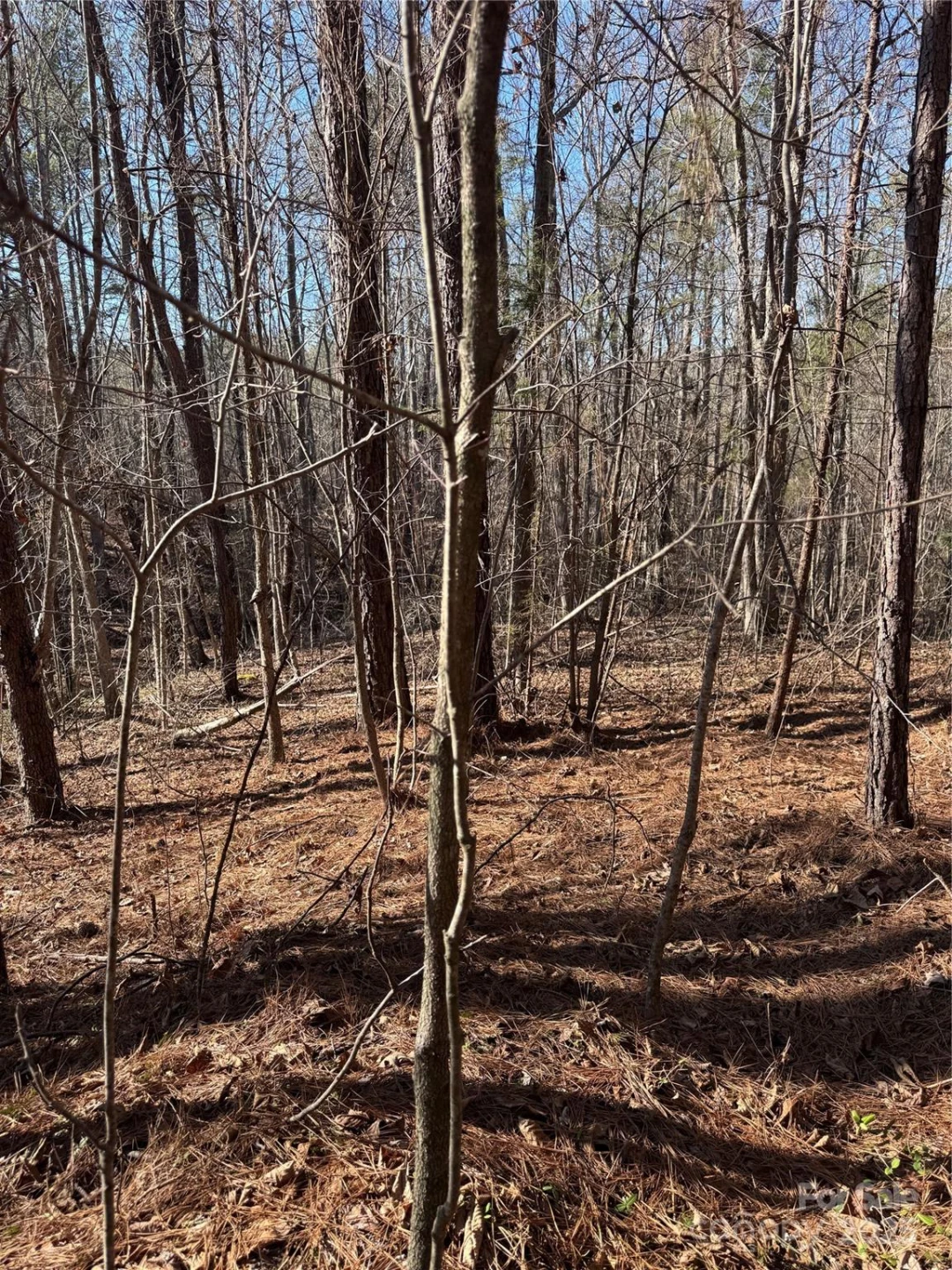 0 Black Rock Drive #30 - Photo 13