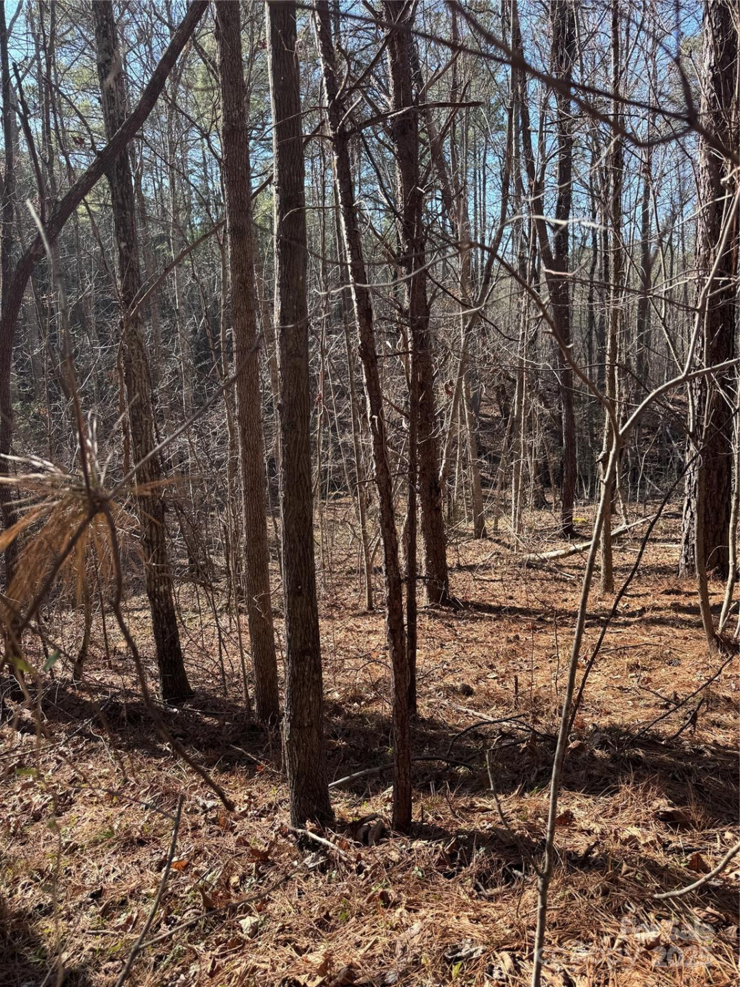 0 Black Rock Drive #30 - Photo 14