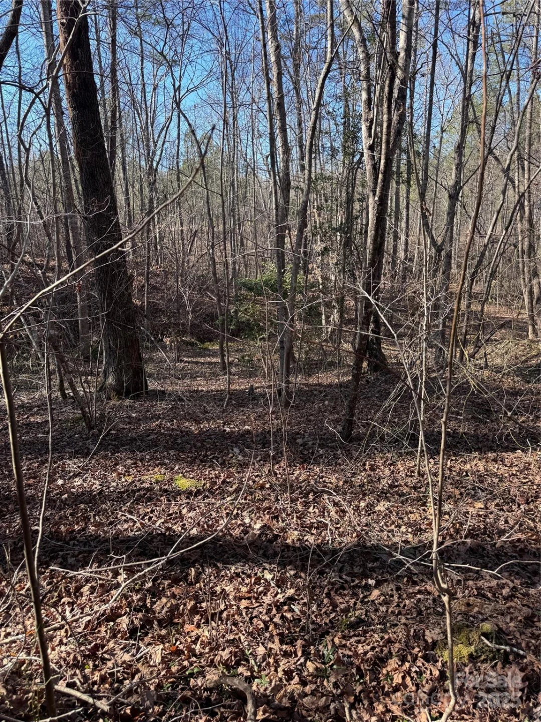 0 Black Rock Drive #30 - Photo 15