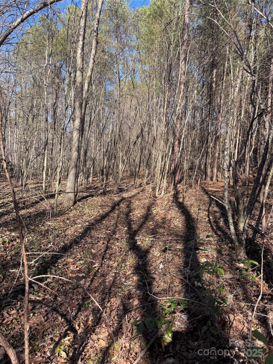 0 Black Rock Drive #30 - Photo 16