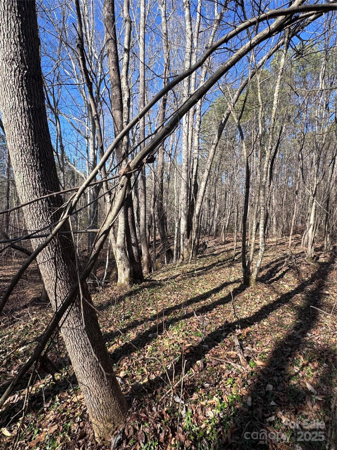 0 Black Rock Drive #30 - Photo 17