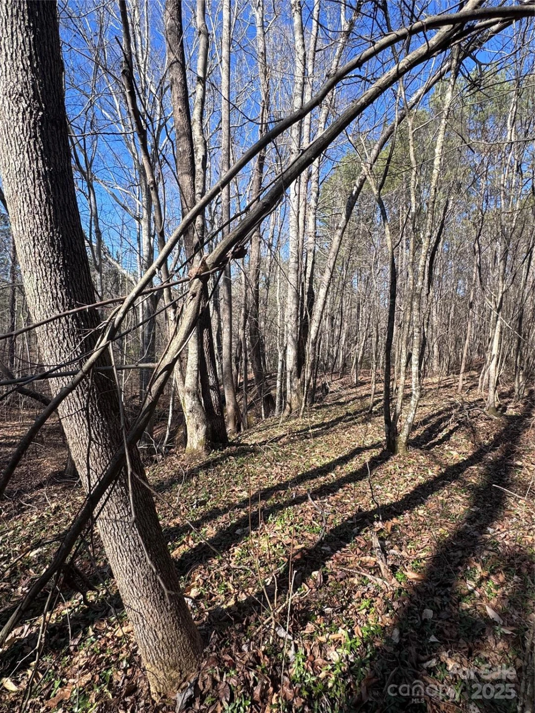 0 Black Rock Drive #30 - Photo 17