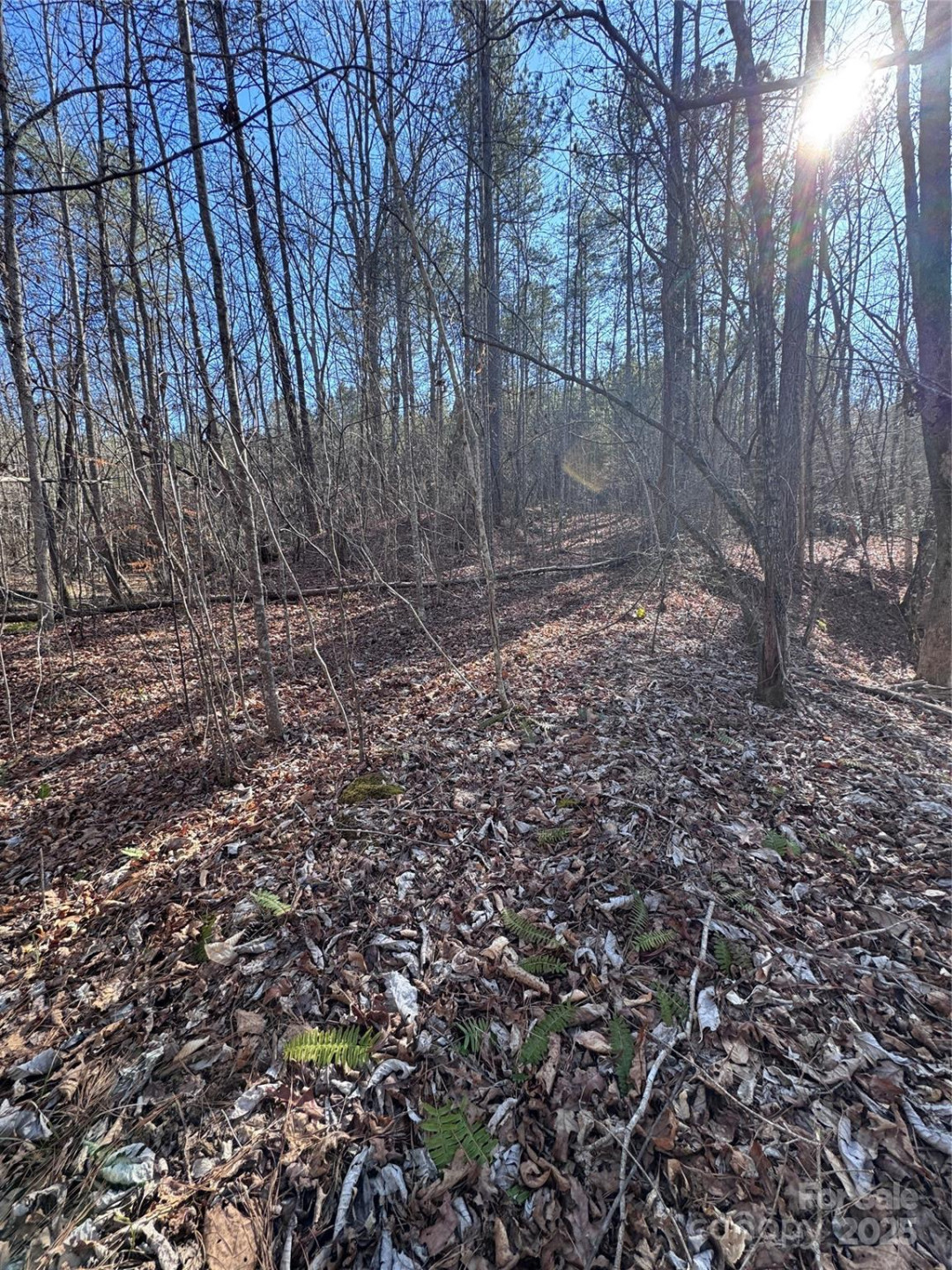 0 Black Rock Drive #30 - Photo 19