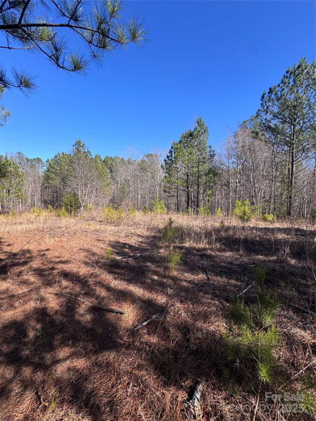 0 Black Rock Drive #30 - Photo 3