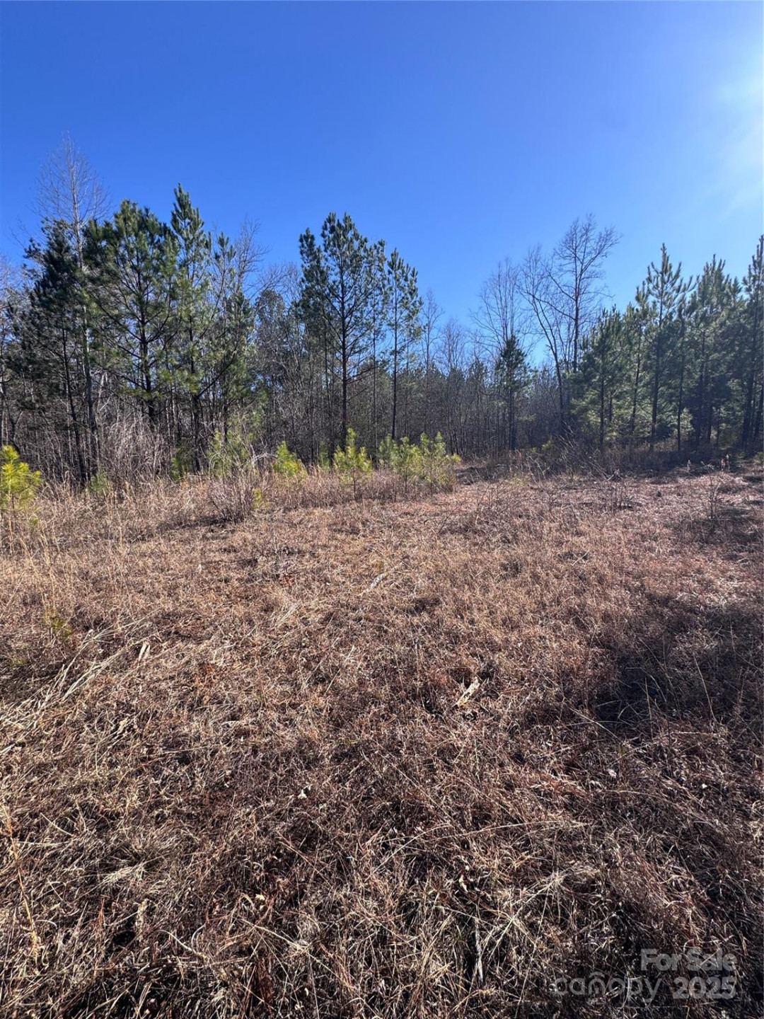 0 Black Rock Drive #30 - Photo 21