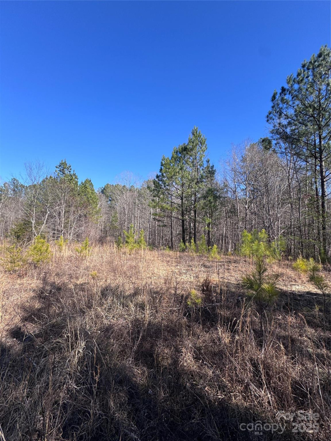 0 Black Rock Drive #30 - Photo 4