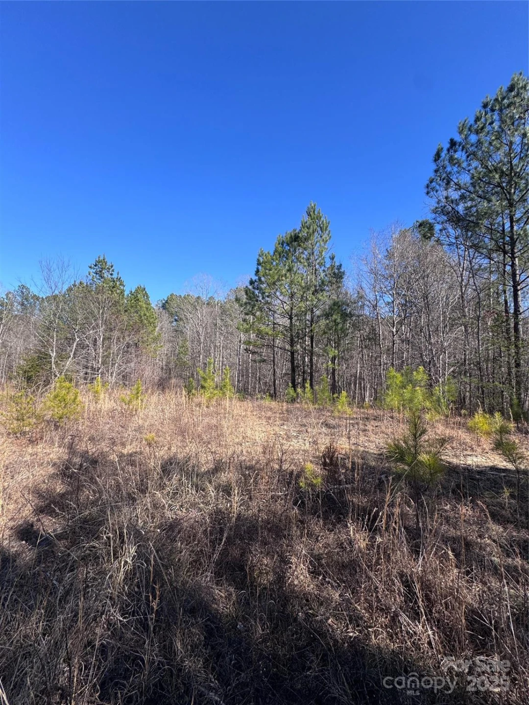 0 Black Rock Drive #30 - Photo 4