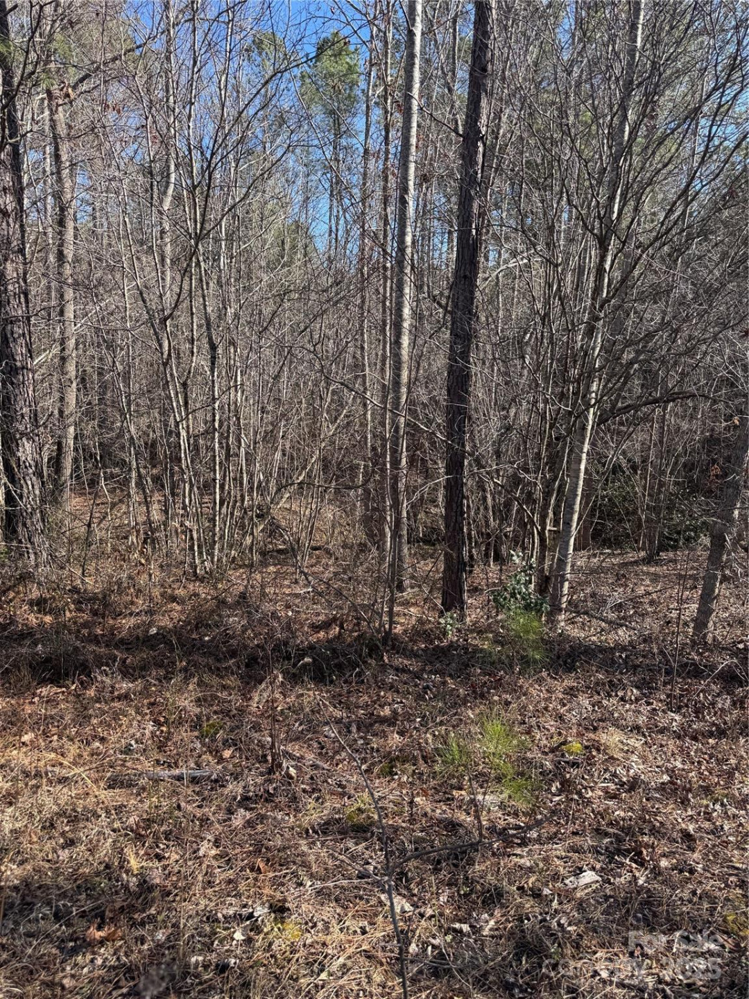 0 Black Rock Drive #30 - Photo 5