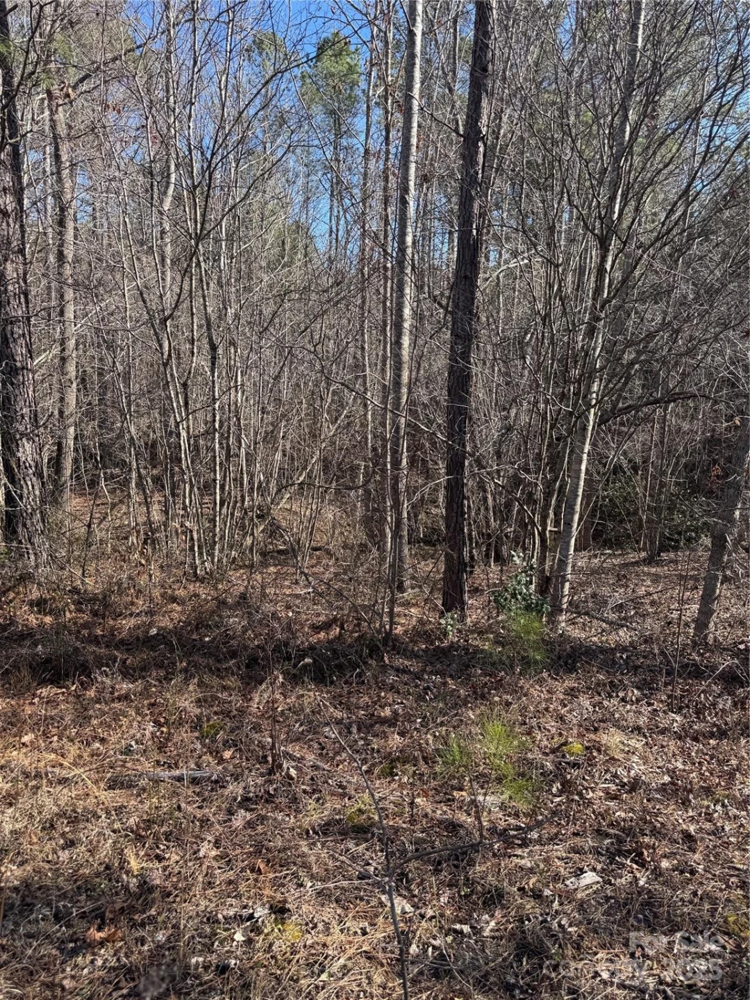 0 Black Rock Drive #30 - Photo 5