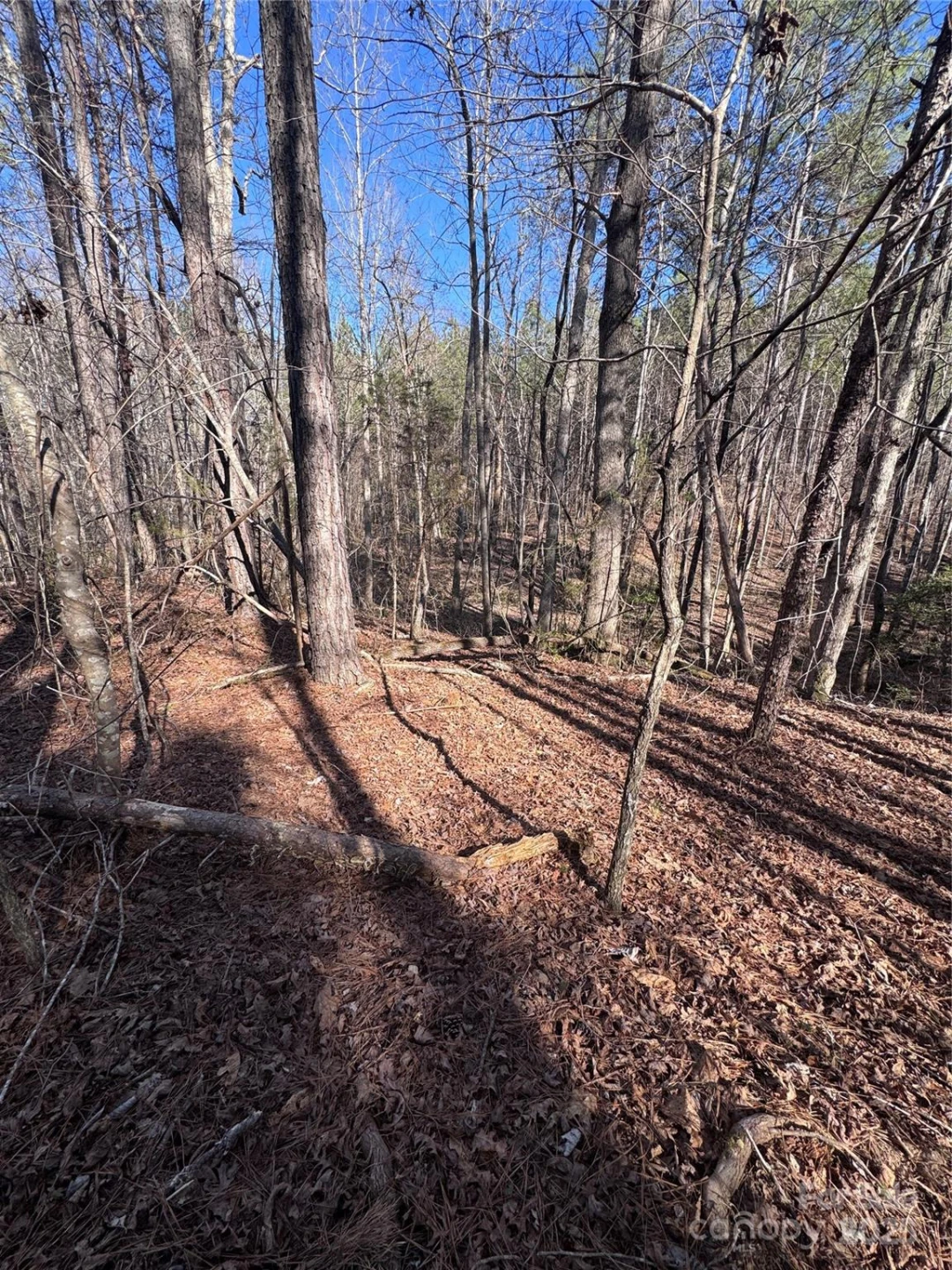 0 Black Rock Drive #30 - Photo 7