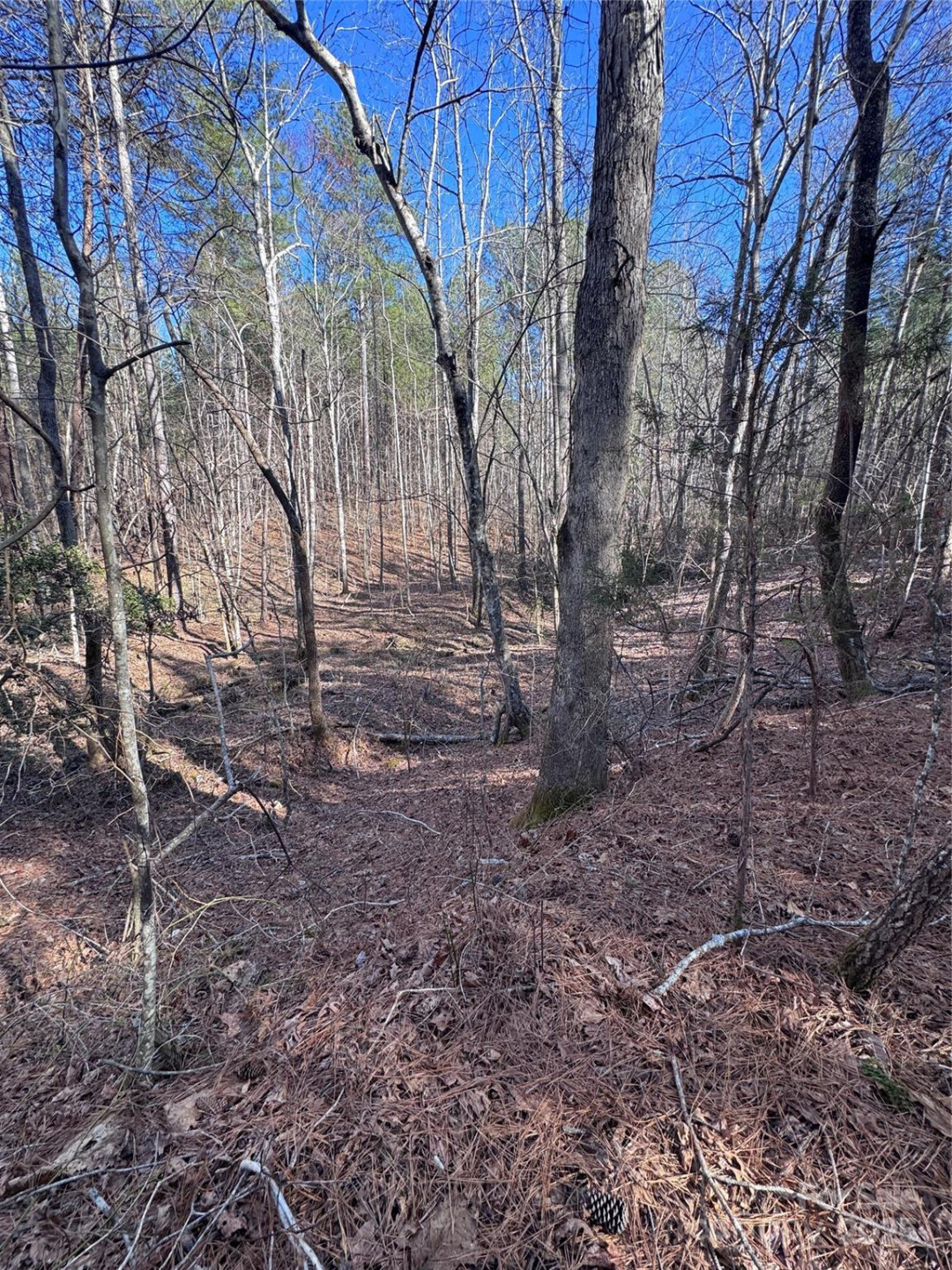 0 Black Rock Drive #30 - Photo 8